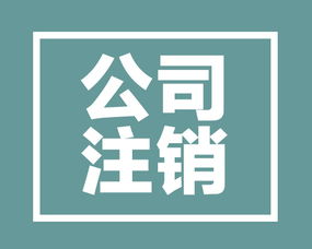 小規模納稅人企業注銷流程詳解與代辦電信業務注意事項